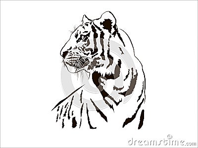 Tiger Big Cat Leopard Lion Pantera Yaguar Wild Black White Face Portrait Nature .Svg .Eps .Png Clipart Vector Tattoo Vector Illustration