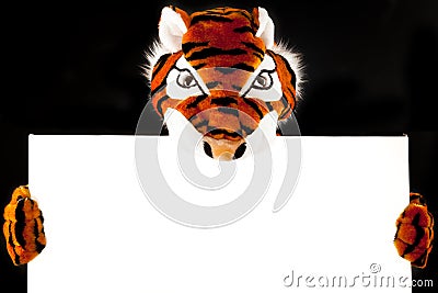 Tiger With Blank Sign Stock Photo