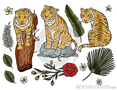 Tiger cartoon tropical vector set. Vector Illustration