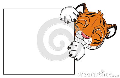 Tiger with clean banner Stock Photo