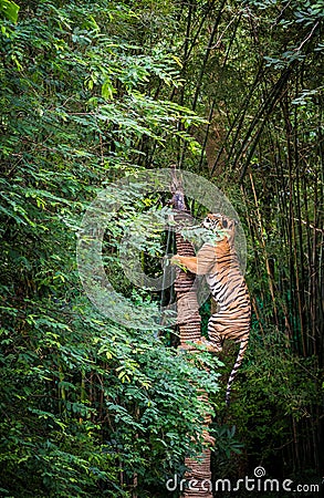 Tiger climbed the trunk of the meat in zoo Stock Photo