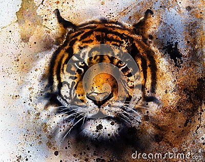 Tiger collage on color abstract background, rust structure, wildlife animals, eye contact.. Stock Photo