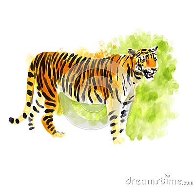 Tiger digital watercolor Cartoon Illustration