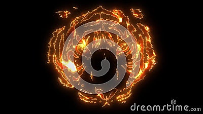 Tiger Eyes Blinking Loop. Animation of Tiger Eyes with Laser and Fire Stock  Footage - Video of cornea, fear: 138501758