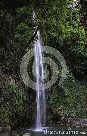 Tiger Fall in Uttarakhand Stock Photo