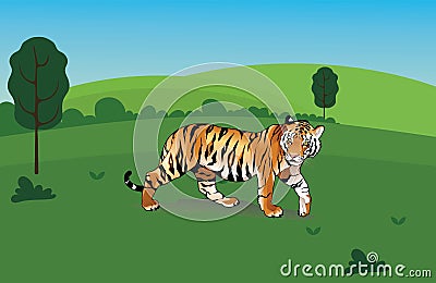 The Tiger Vector Illustration