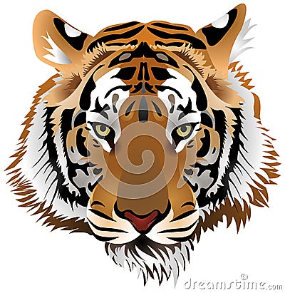 Tiger head Vector Illustration