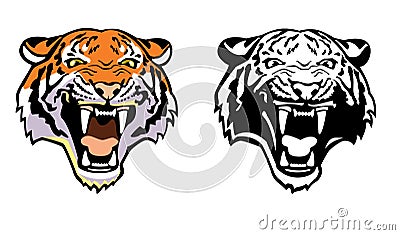 Tiger head Vector Illustration