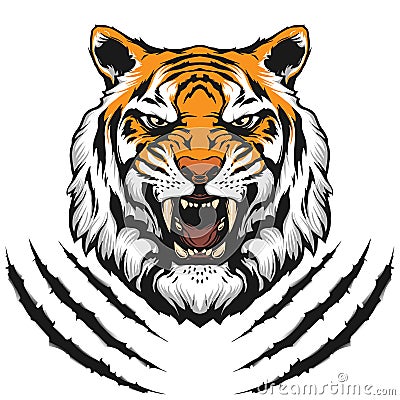 Tiger head illustration Cartoon Illustration