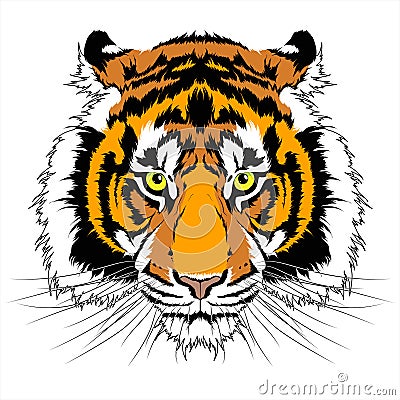 Tiger head Vector Illustration