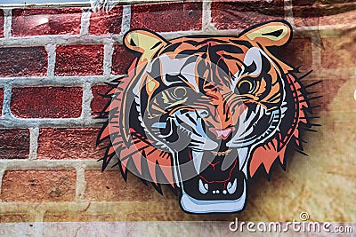 Tiger head Cartoon Illustration