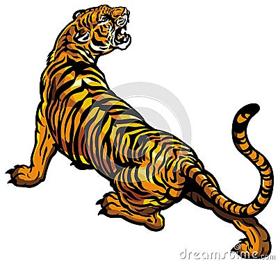 Tiger Vector Illustration