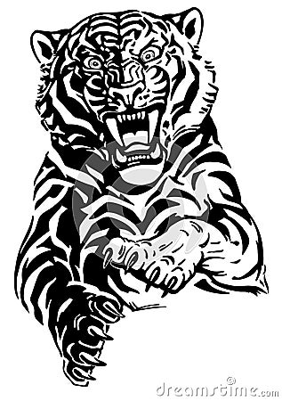 tiger jump front view Vector Illustration