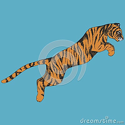 Tiger in a jump. Hand drawing Vector Illustration