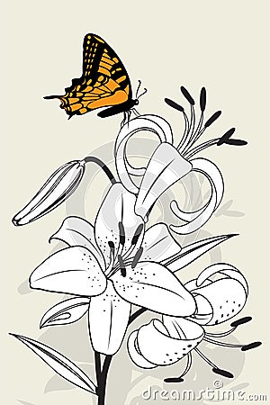 Tiger lily and butterfly Vector Illustration