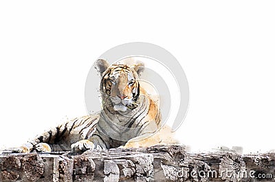 The tiger is lying on a wood log. Watercolor style. Illustration Stock Photo