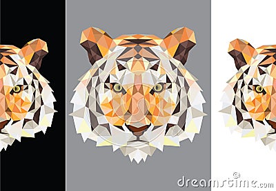 Tiger polygon Stock Photo