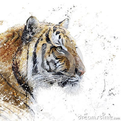 Tiger portrait watercolor Stock Photo