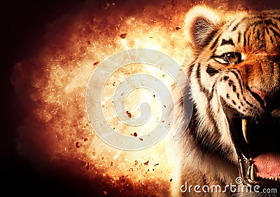 Tiger roar on fire. Energy, power or anger Cartoon Illustration