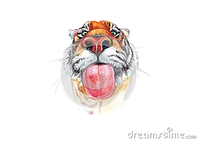 Tiger's muzzle with colored pencils and watercolors.Isolated on white background is symbol of 2022. Stock Photo