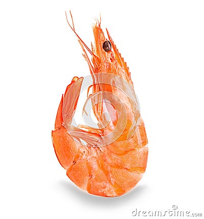 Tiger shrimp. Prawn isolated on a white background. Stock Photo