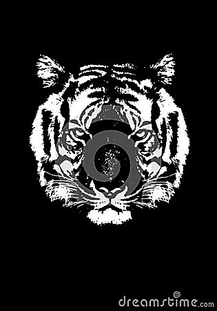 Tiger silhouete , animal isolated , wildlife hunter power Stock Photo