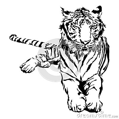 Tiger sitting. Vector Illustration