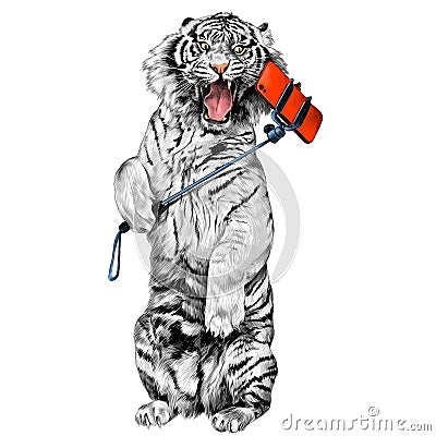 Tiger sketch vector graphics Vector Illustration