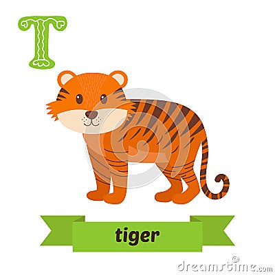 Tiger. T letter. Cute children animal alphabet in vector. Funny Vector Illustration