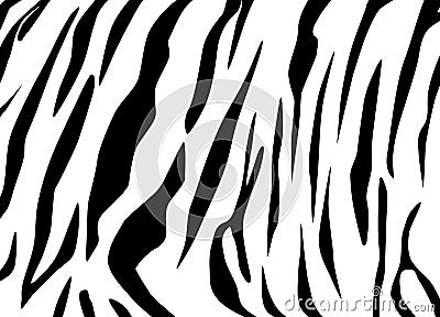 Tiger texture Vector Illustration