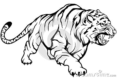 Tiger vector drawing, tiger drawing sketch in full growth, crouching tiger in black and white Vector Illustration