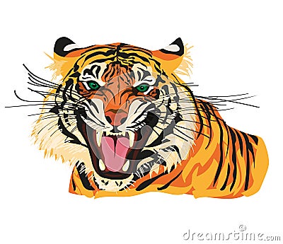 Amur tiger goes isolated on white background. Vector tiger side view. Endangered animal Vector Illustration