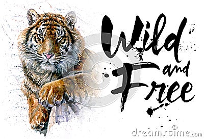 Tiger watercolor painting, animals predator, design of t-shirt, wild and free, print, hunter, king of jungle Stock Photo