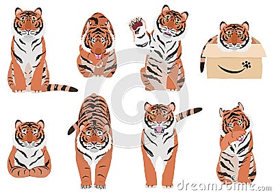 Tigers in various poses on white Stock Photo