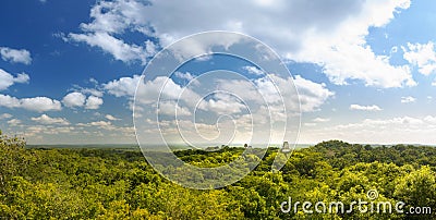 Tikal Guatemala Panorama Stock Photo