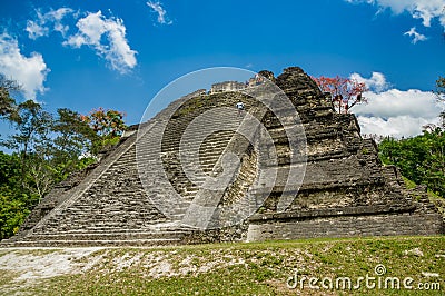 Tikal mayan ruins in guatemala Stock Photo