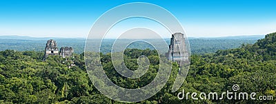 Tikal Mayan Ruins, Guatemala Travel Stock Photo