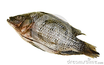 Ready to Cook Tilapia Fish Stock Photo