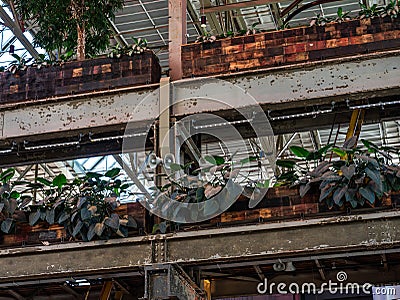 Tilburg, North Brabant, The Netherlands - Metal construction of the Lochal library, decorated with plants Editorial Stock Photo