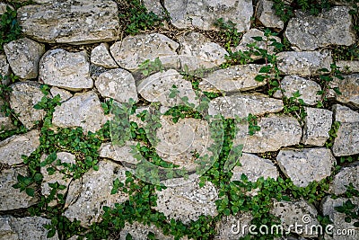 Tiled stack stone wall with green creeper plant as background Stock Photo