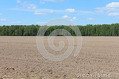 Tillage field and blue sky Stock Photo