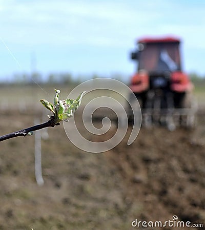 Tillage in garden in spring Stock Photo