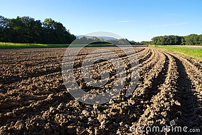 Tillage to horizont Stock Photo