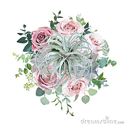Tillandsia, echeveria succulents, pale dusty pink roses, eucalyptus, greenery Vector Illustration