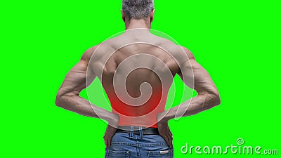 Tillbaka smärta, njureinflammation, äldre muskulös man med ryggvärk på grön bakgrund, den nyckel- videoen 4K för chroma lager videofilmer Tillbaka smärta, njureinflammation, äldre muskulös man med ryggvärk på grön bakgrund, den nyckel- videoen 4K för chroma lager videofilmer