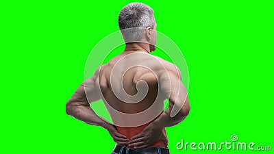 Tillbaka smärta, njureinflammation, äldre muskulös man med ryggvärk på grön bakgrund, den nyckel- videoen 4K för chroma arkivfilmer Tillbaka smärta, njureinflammation, äldre muskulös man med ryggvärk på grön bakgrund, den nyckel- videoen 4K för chroma arkivfilmer