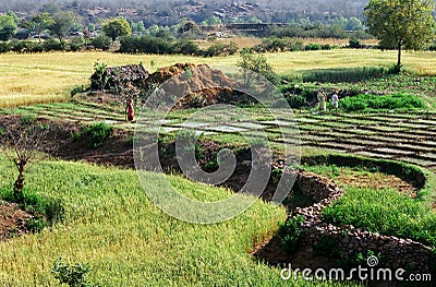 Tilled lands, India Stock Photo