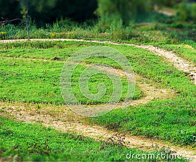 Tilted forest road summer background Stock Photo