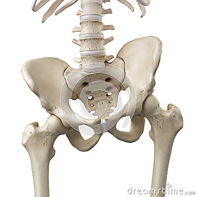 A tilted pelvis Cartoon Illustration