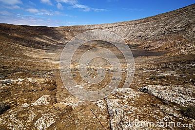 Timanfaya in los volcanes lanzarote spain plant flower bush Stock Photo